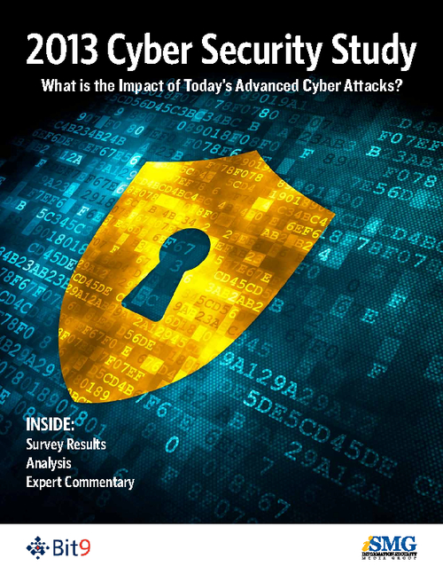 2013 Cyber Security Study